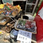 地元野菜も販売してます！
